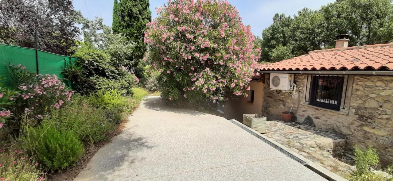Gite De Charme Dans Mas Catalan Prades  Luaran gambar
